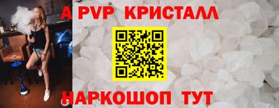 твердый Кингисепп