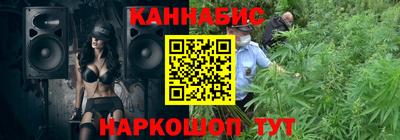 твердый Кингисепп