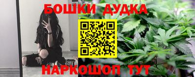 твердый Кингисепп