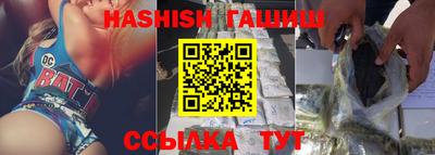 твердый Кингисепп