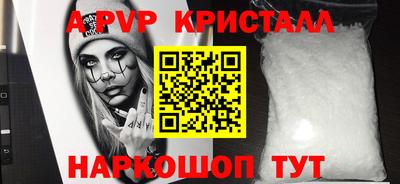 твердый Кингисепп